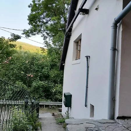 Lägenhet Dziupla *