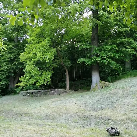 Dziupla Apartment Świeradów-Zdrój