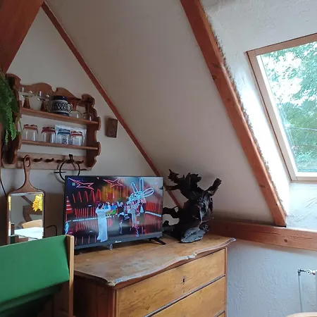 Dziupla
