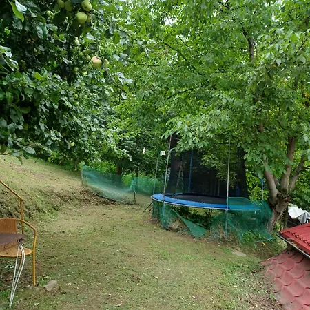 Διαμέρισμα Dziupla *