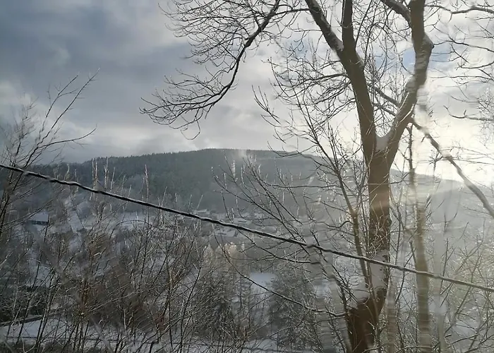 Dziupla * Świeradów-Zdrój