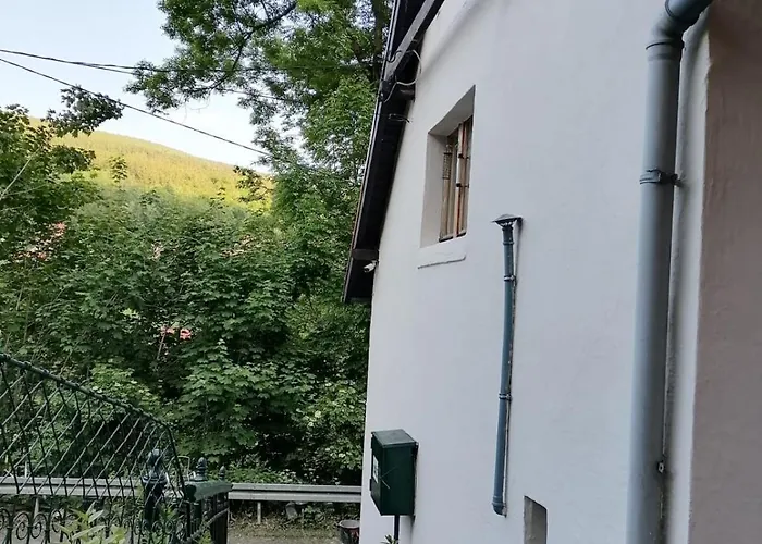 Apartamento Dziupla *