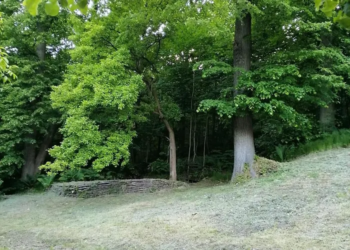 Dziupla 아파트 Świeradów-Zdrój