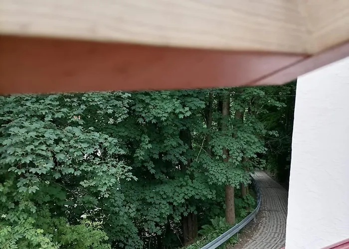 Apartamento Dziupla *