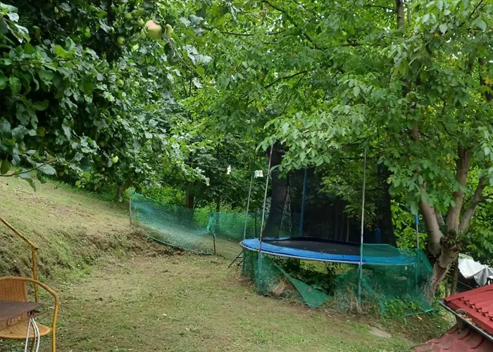 Apartamento Dziupla *